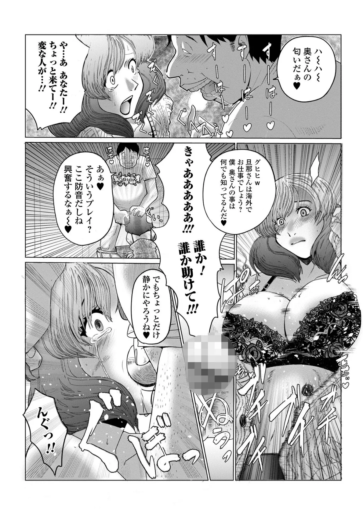 Web配信 月刊 隣の気になる奥さん vol.064 17ページ